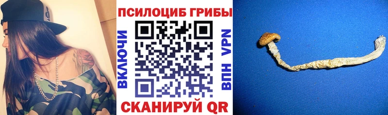 цена наркотик  Новоульяновск  Псилоцибиновые грибы мухоморы 